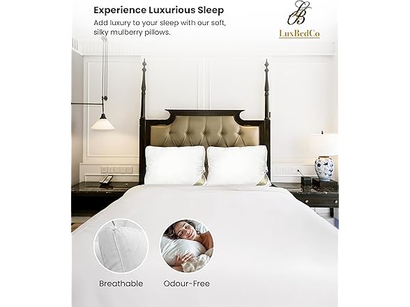 Standard Premium Pillows Set