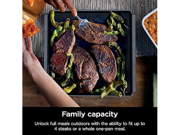 Ninja Woodfire Outdoor Cast Iron Pan