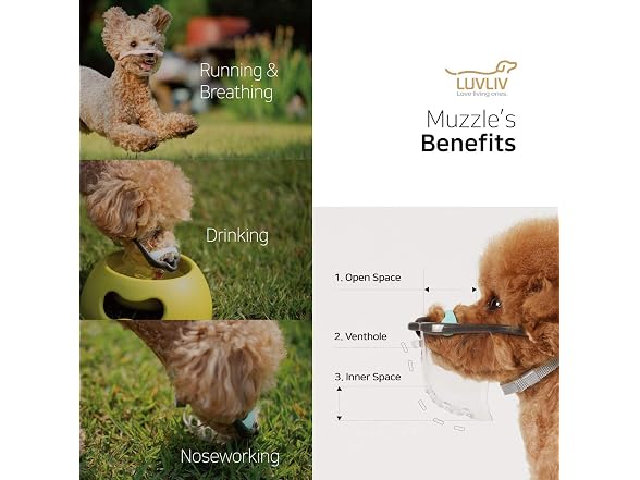 Soft Dog Muzzle Cover for Small Dogs with Ov