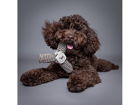 NOAH & PAW Luxury Dog Toy, Dog Rope Toy- Y Flyer, Beige