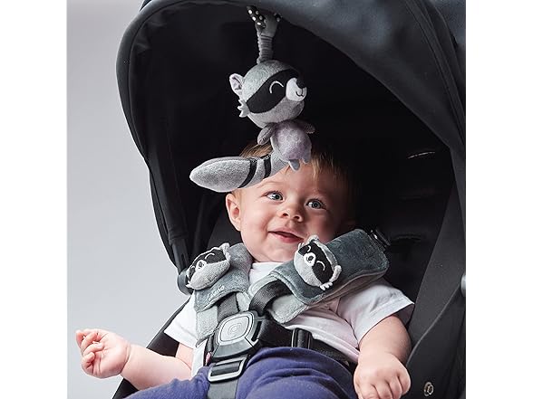 Diono Baby Racoon Car Seat Straps & Toy
