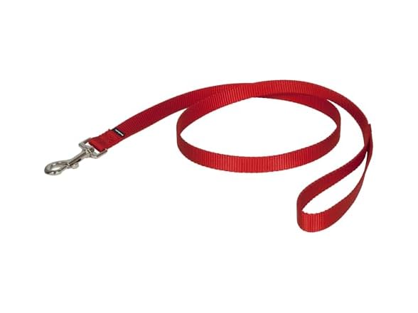 PetSafe Nylon Dog Leash 3/4" x 4', Red