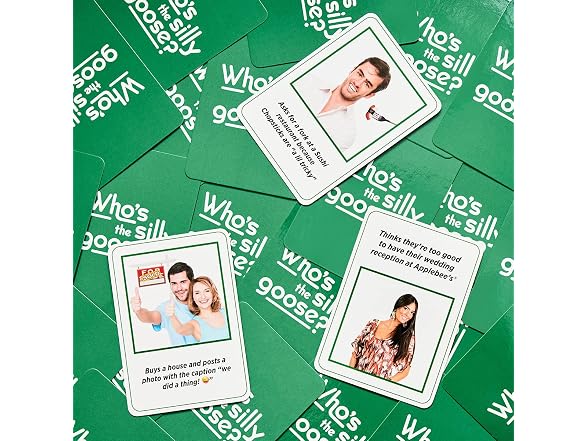 DSS Games Who's The Silly Goose Game