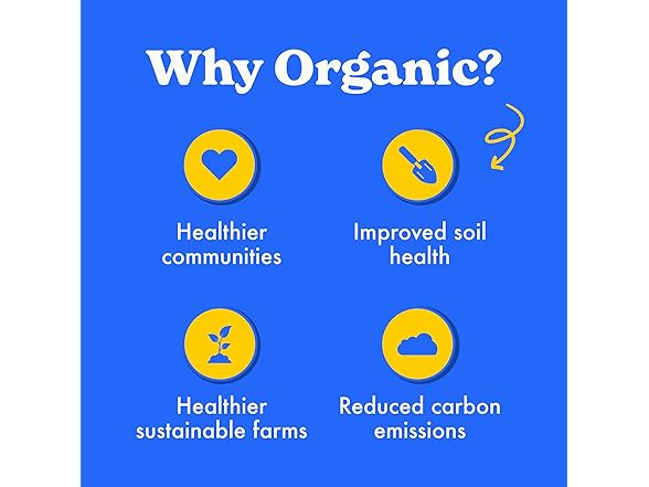 5CT MadeGood Morning Cinnamon Bun Bars, 5.3 oz.