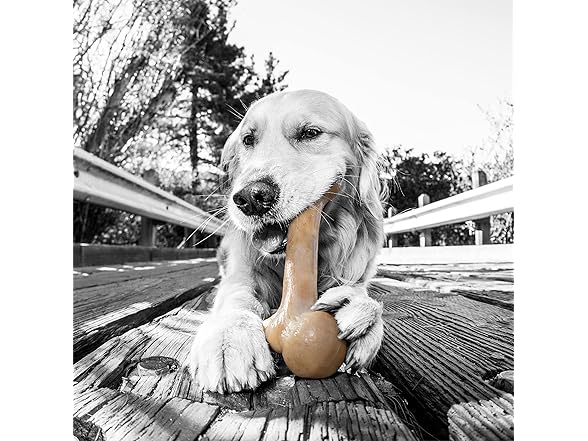 Pet Qwerks Zombie BarkBone - Nylon Dog Bone