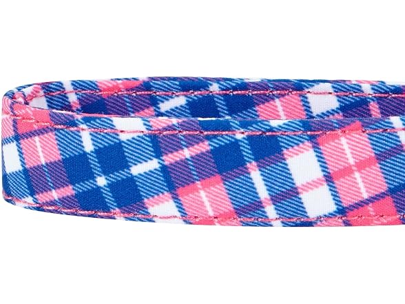 Blueberry Pet 4 Patterns Multiple Hues Scott