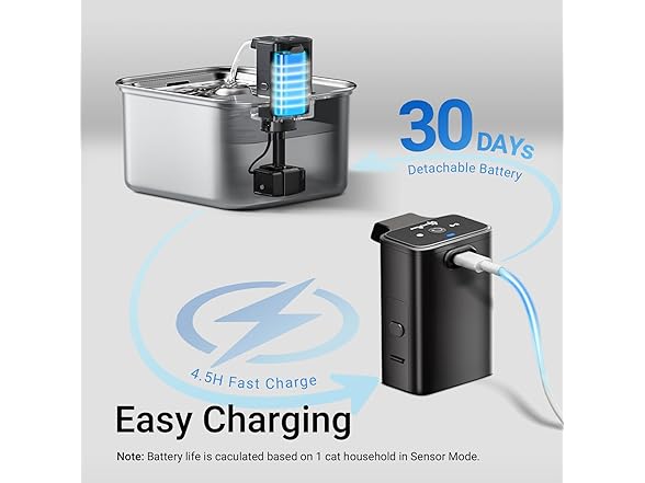 DownyPaws Stainless Steel Water Fountain