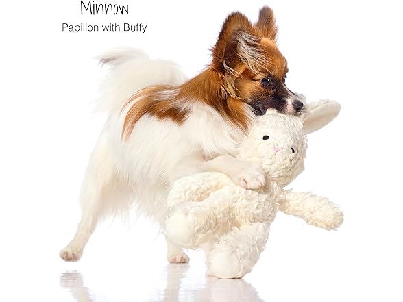 Pet Passion Plush Durable Cotton Dog Toys Bunny