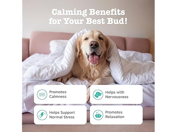 Zesty Paws Calming Chews Dogs 90ct