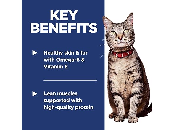 Hill's Science Diet Adult 1-6 Dry Cat Food, 4 lb. Bag