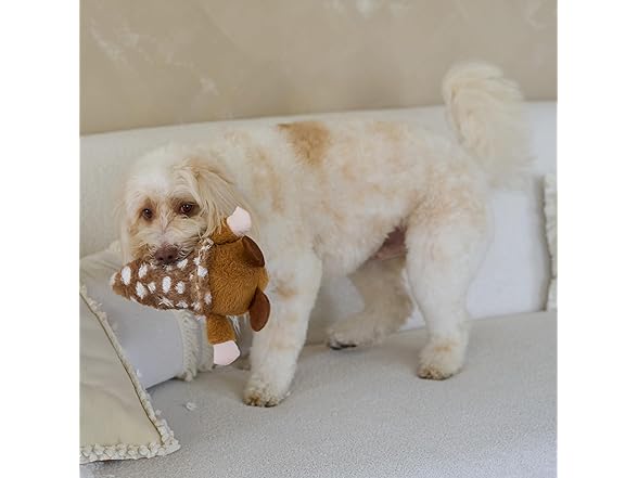 SPOT Woodsy Gnome Dog Toy
