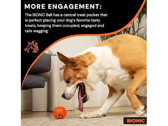 BIONIC Large Dog Chew Ball