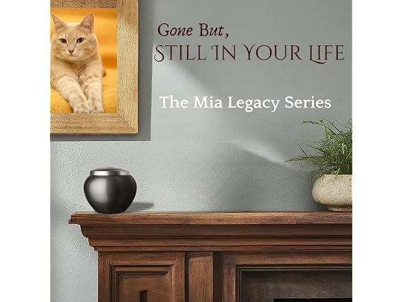 Pet Urn - Memorial Cremation Pet Urns for Dog