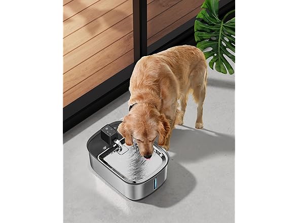7.5L Large Dog/Cat Water Fountain