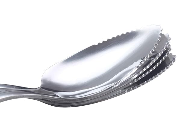 HAZOULEN Grapefruit Spoons, Stainless
