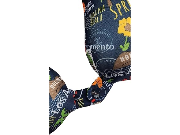 California Travel Neck Pillow
