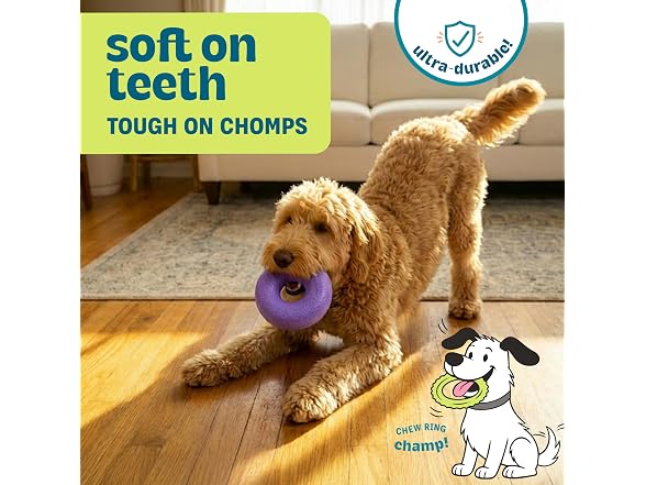 Pupstages Flex-Force Ring Dog Chew Toy, Fetch & Tug