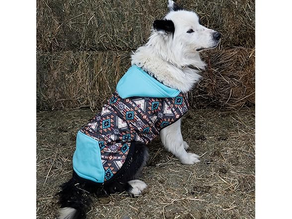 Hooey Legendary Dog Hoody, Wrap Style