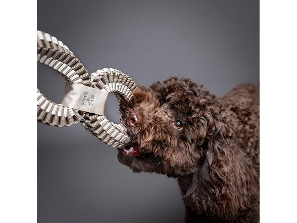 NOAH & PAW Luxury Dog Toy, Dog Rope Toy- Double Ring, Beige