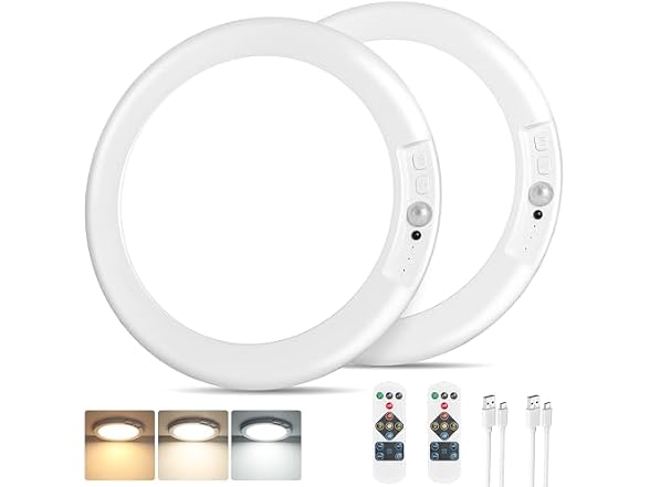 Bairth Rechargeable Motion Sensor Ceiling Light