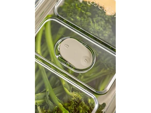 Latchlok Click 6.2 Cup Food Storage Container