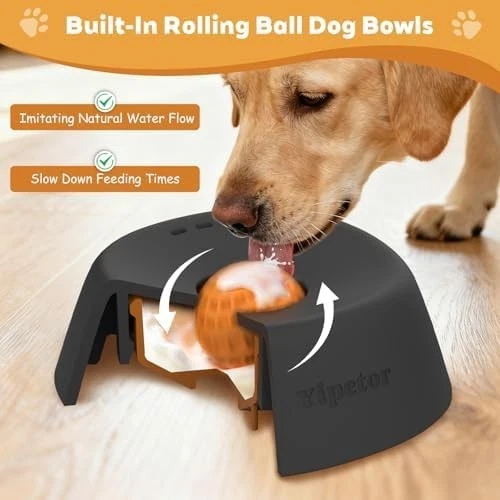 Slow Feeder Dog Bowl for Liquid Treats - Gallery 8