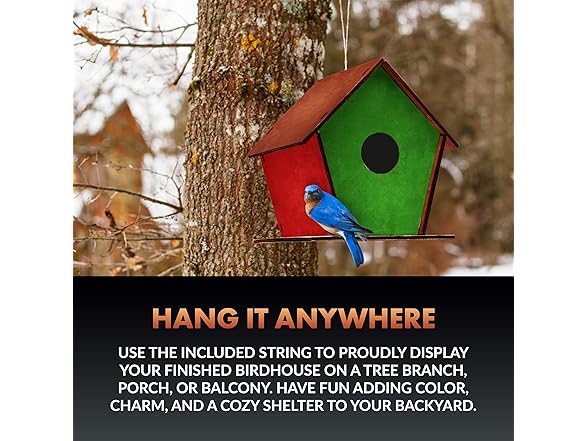 Newhouse Pet DIY Wooden Birdhouse Kit