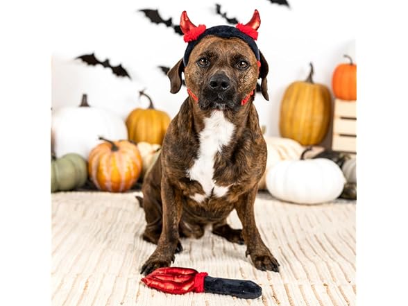 Fringe Studio Wear & Play Plush Dog Toy, Cute Lil Devil