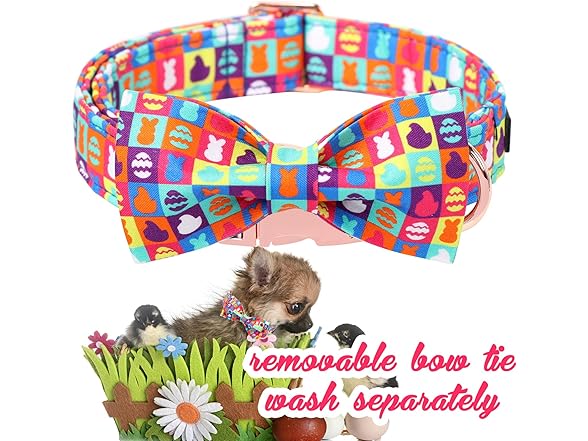 Unique Style Paws Easter Day Dog Collar with Bow