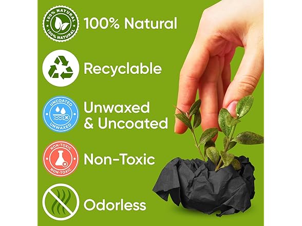 Paclord USA Made 18" x 1200" (100 ft) Roll Paper