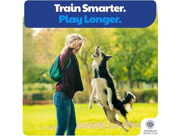 American Kennel Club Training Dog Chew Toy, Large Bone