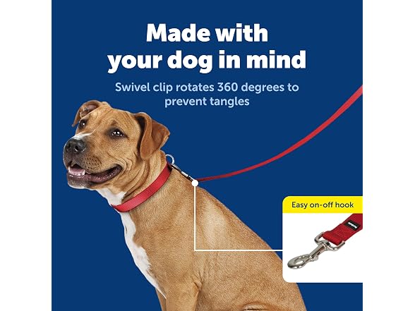 PetSafe Nylon Dog Leash 3/4" x 4', Red