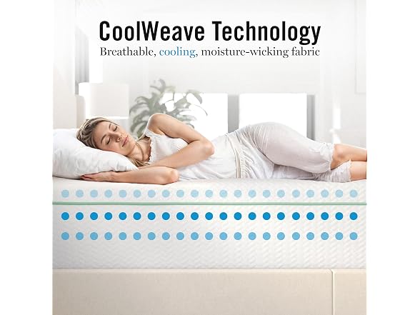Martha Stewart 12" Queen Foam Mattress