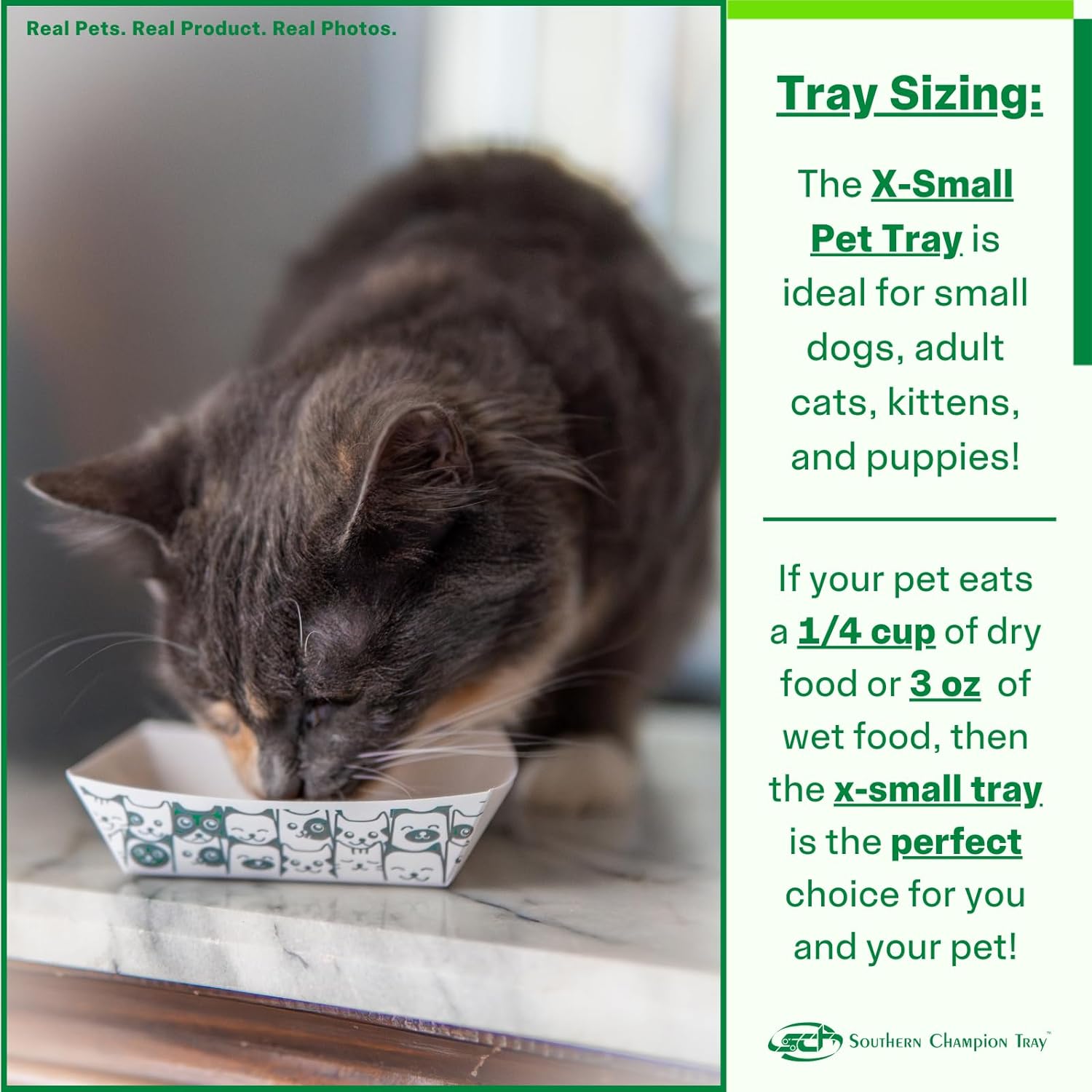 SCT, Disposable Pet Food Bowls - Your Choice - Gallery 13