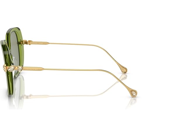Swarovski SK6011 Sunglasses