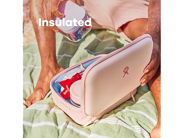 Hydro Flask Carry Out Lunch Box