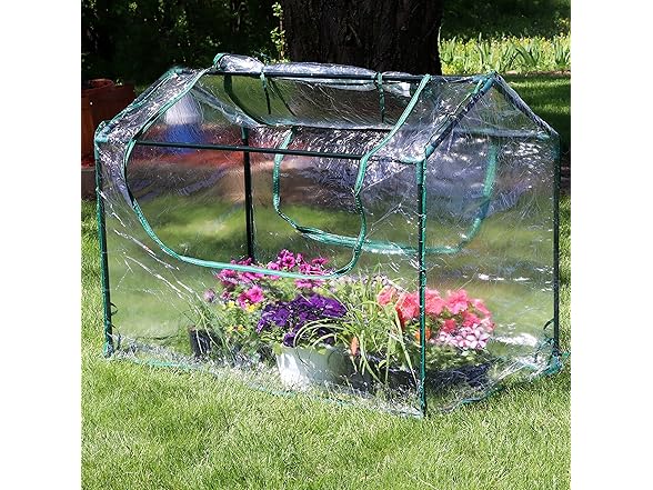 Sunnydaze Decor HB-876 4x2 Foot Mini Greenhouse Clear