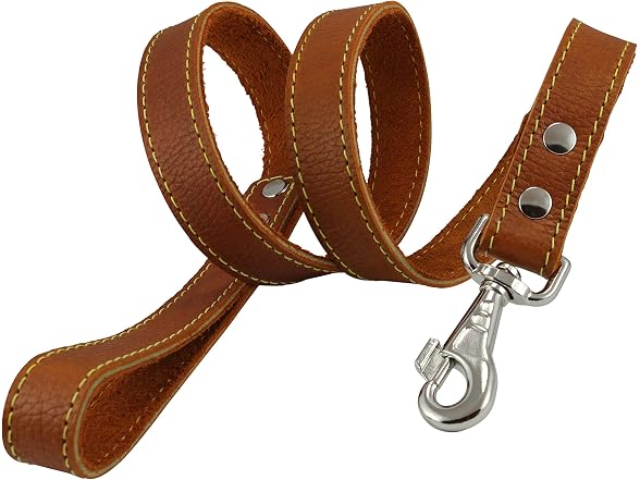 4' Classic Genuine Leather Dog Leash 1" Wide