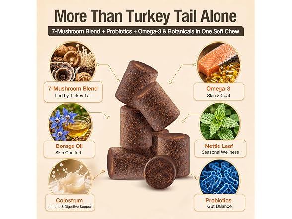 TailSphere Turkey Tail Mushroom