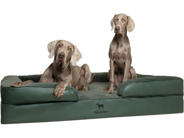 NOAH & PAW Dog Beds- Size and Style VARIES - Gallery 11