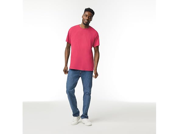 Gildan Mens Heavy Cotton T-shirt (Large)