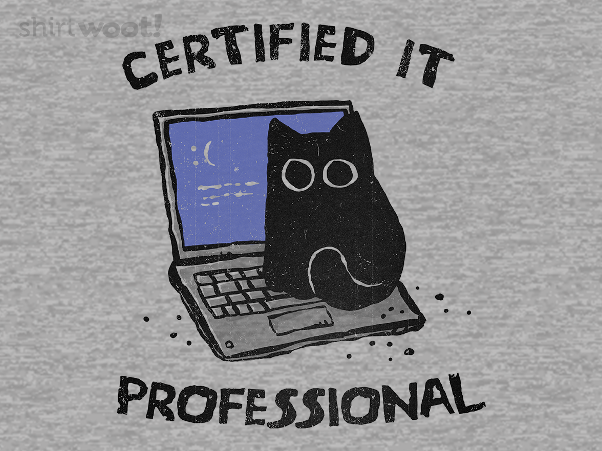 Certified IT Professional - Gallery 4