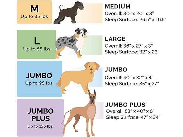 Furhaven Memory Foam Dog Bed for Medium/