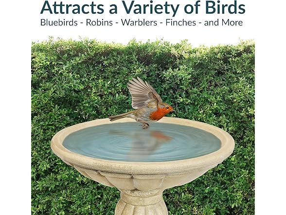 Sunnydaze 20.25” H Concrete Bird Bath Antique White