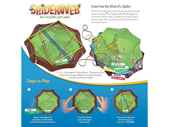 Think Fun Spiderweb: A Bug-Catching Logic Game
