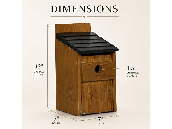 Backyard Expressions Brazilian Pine Birdhouse