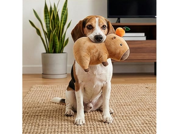 SPOT Capybara with Orange Plush Dog Toy