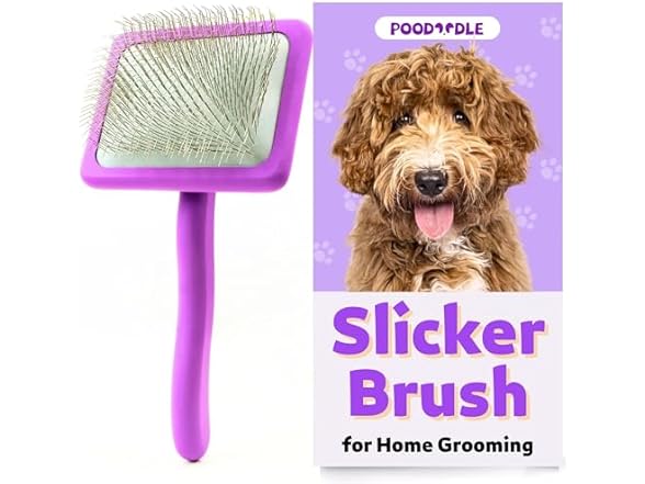 Poodoodle Dog Slicker Brush