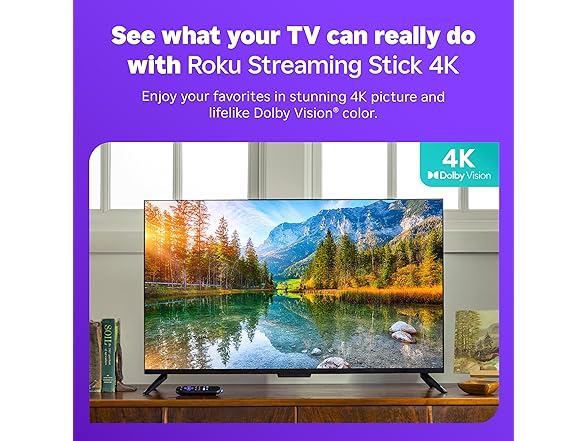 Roku Streaming Stick 4K - HDR & Dolby Vision Roku Streaming (Open Box)
