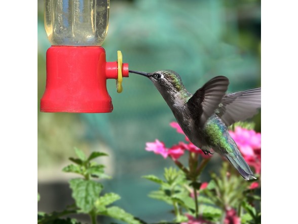 Touch Of ECO Hummingbird Feeder - 3 Pack